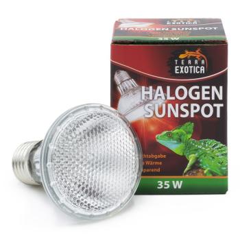Terra Exotica Halogen Sunspot - Halogen Spotstrahler - 35 Watt